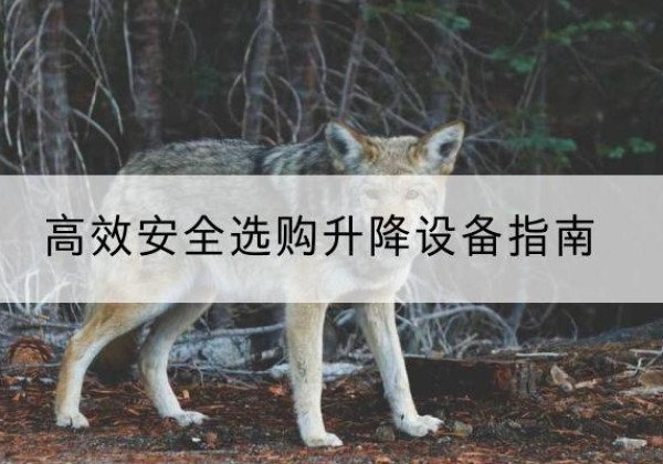 马尔康升降货梯厂家推荐-*安全选购升降设备指南