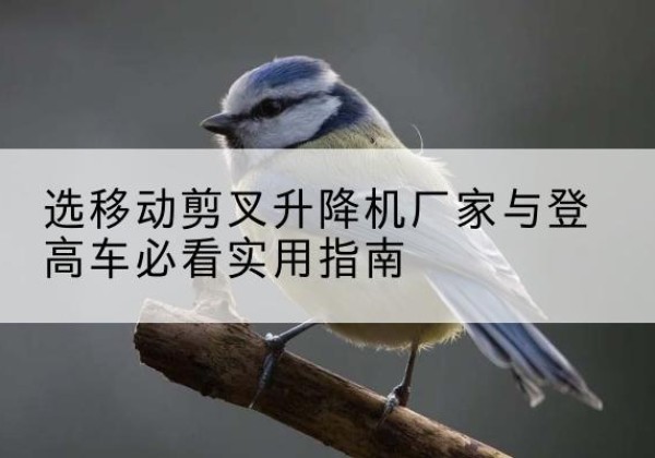 马尔康电动升降机厂家-选移动剪叉升降机厂家与登高车必看实用指南
