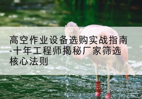 马尔康剪叉式升降机厂家-高空作业设备选购实战指南-十年工程师揭秘厂家筛选核心法则